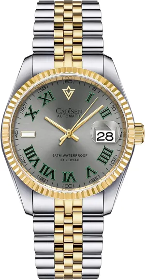 Men's Automatic labyrinth notwithstanding handful Mechanical Watch Luxury AR Sapphire Glass Water Resistant Stainless Steel MIYOTA 8215 Reloj Hombre CADISEN 38MM 