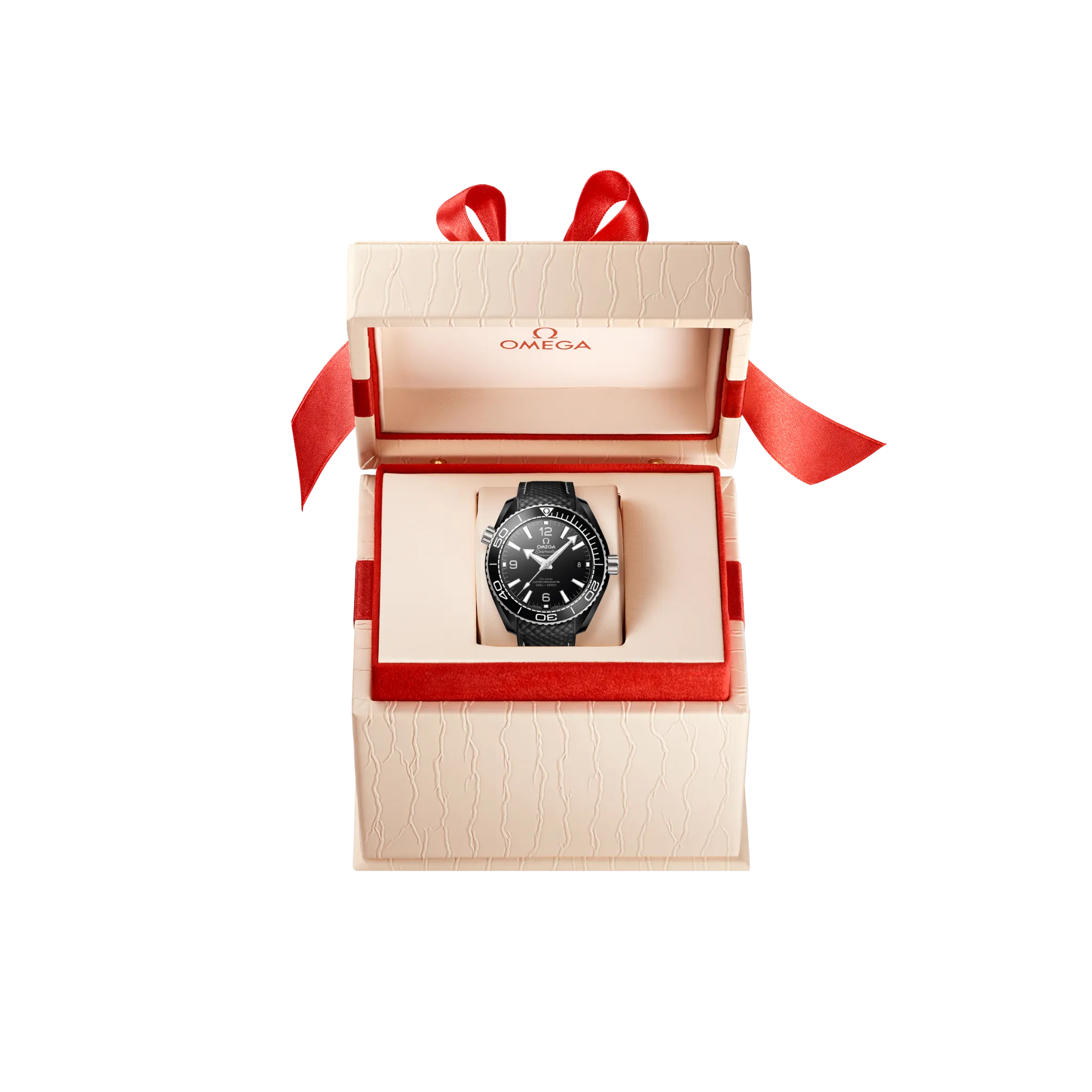 SEAMASTER PLANET OCEAN 600M CO AXIAL MASTER CHRONOMETER