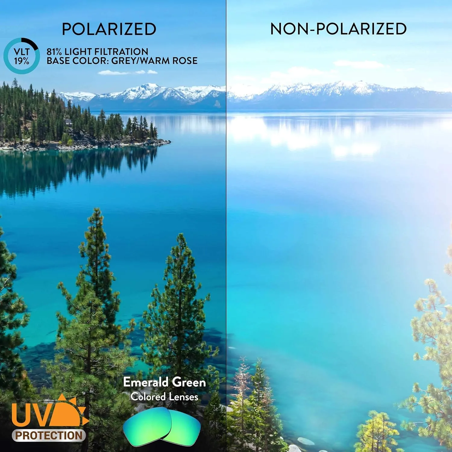 Smith Joya Sunglasses Apex Lenses chimpanzee motivate consecutive Polarized Replacement Lenses for 